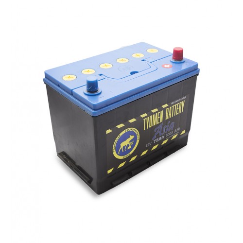 картинка Аккумулятор Tyumen Battery Asia 75 Ач обр. пол. 630A (260x175x225) 